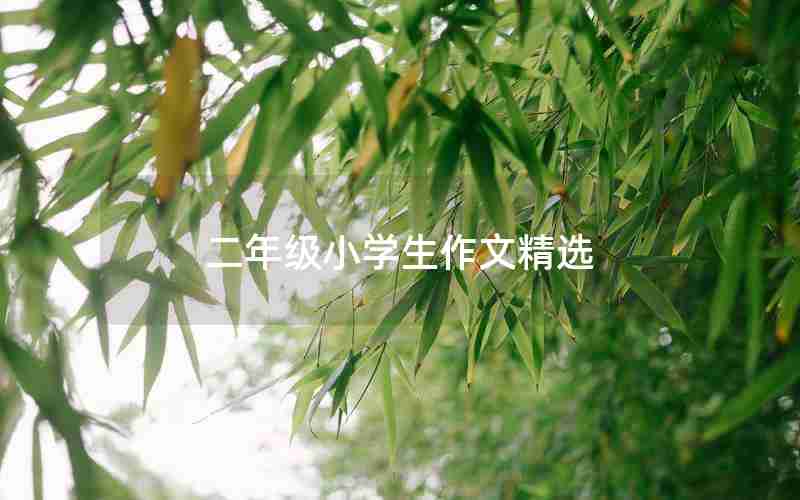 二年级小学生作文精选