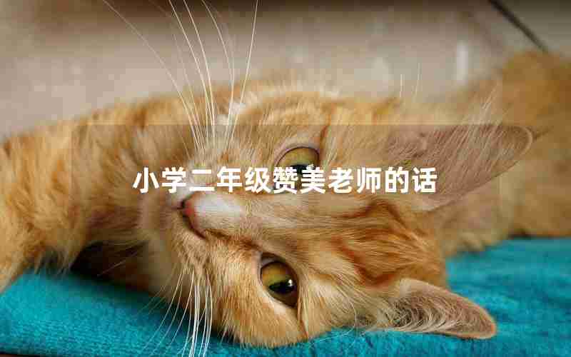 小学二年级赞美老师的话
