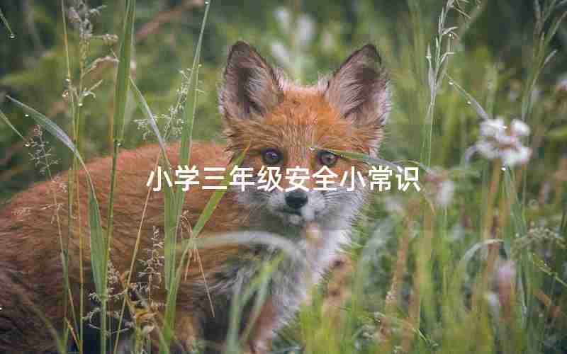 小学三年级安全小常识