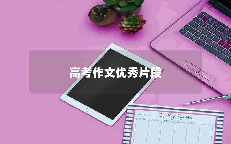 高考作文优秀片段