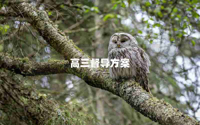 高三督导方案