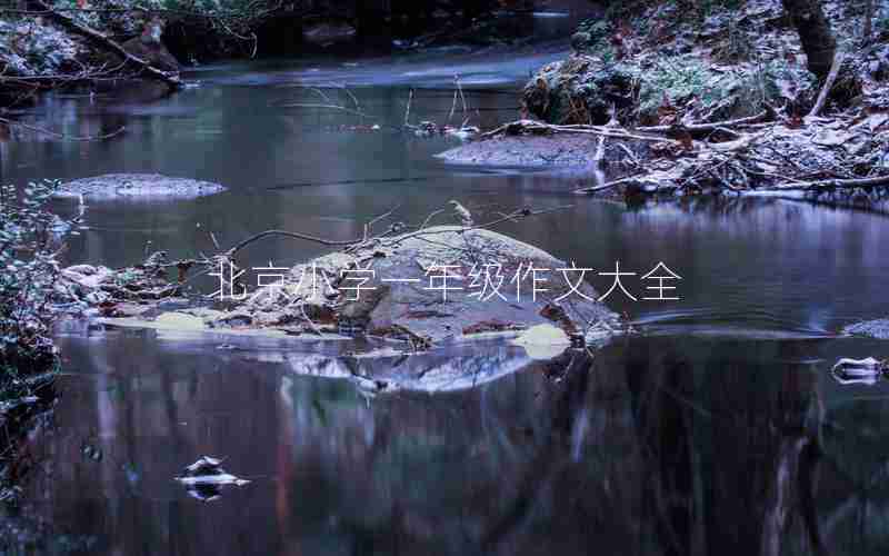 北京小学一年级作文大全