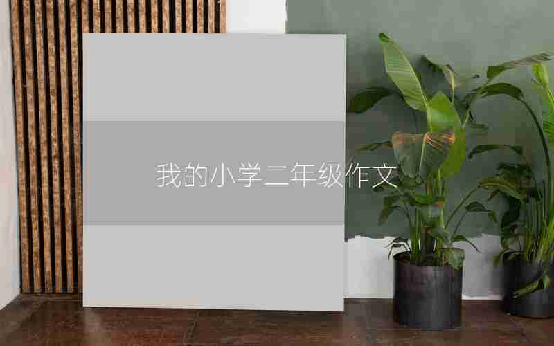 我的小学二年级作文