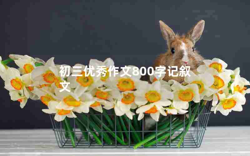 初三优秀作文800字记叙文