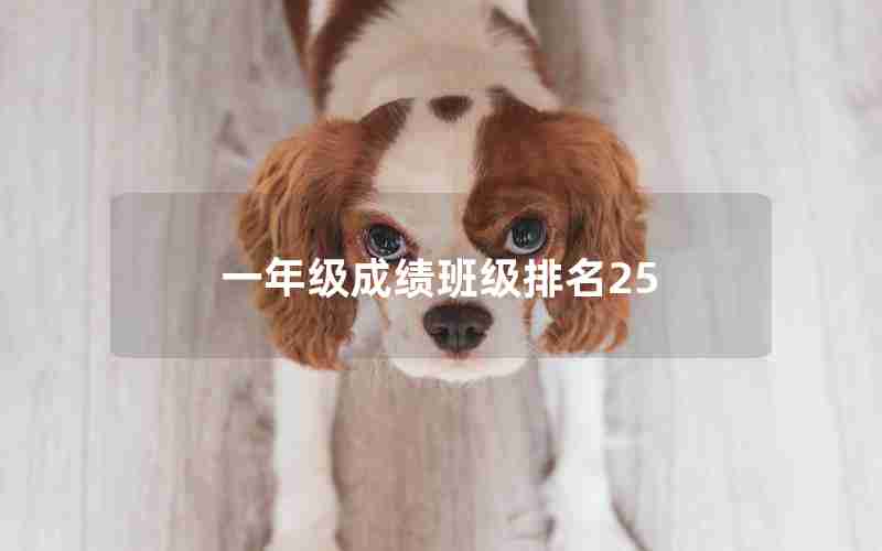 一年级成绩班级排名25
