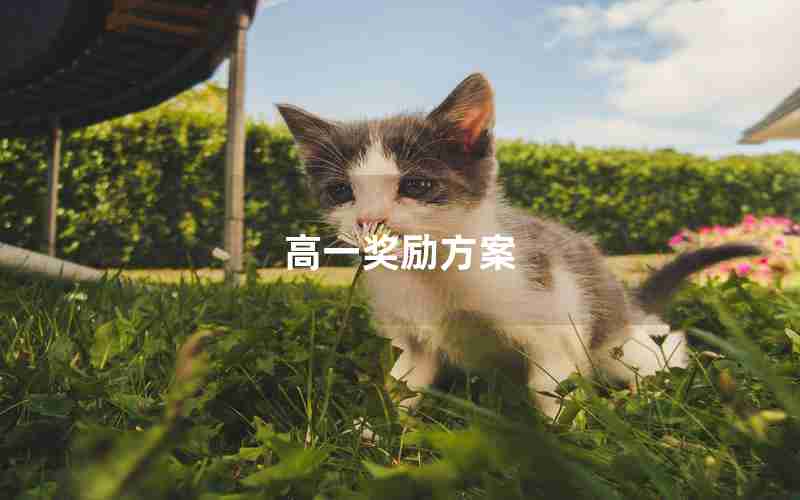 高一奖励方案