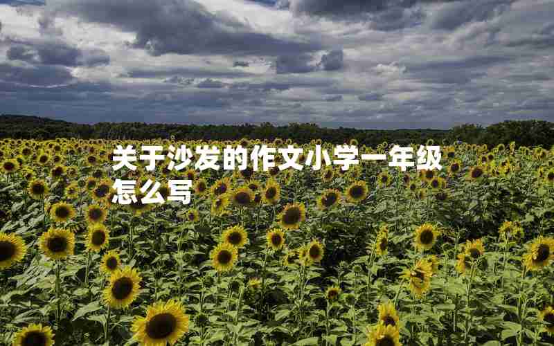 关于沙发的作文小学一年级怎么写