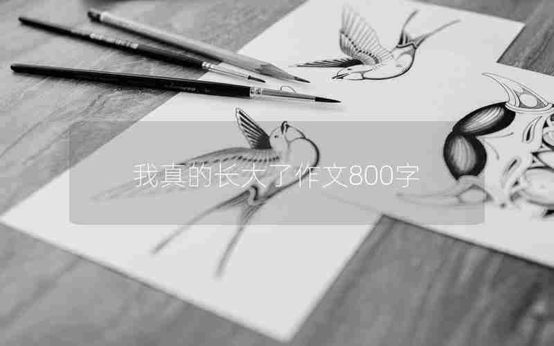 我真的长大了作文800字