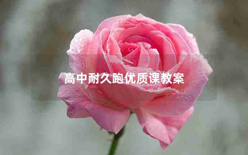 高中耐久跑优质课教案