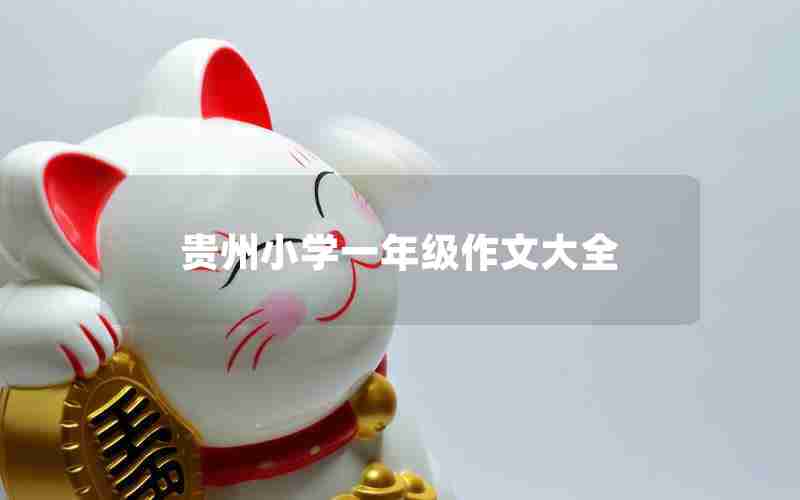 贵州小学一年级作文大全