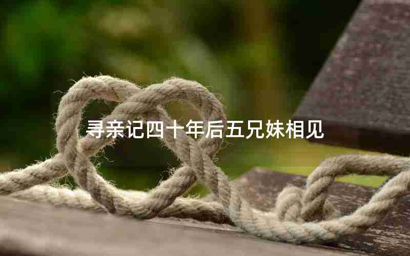 寻亲记四十年后五兄妹相见