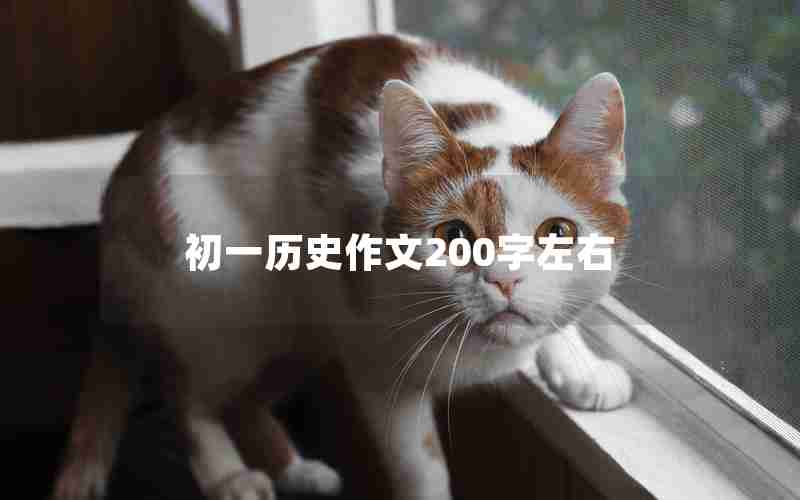 初一历史作文200字左右
