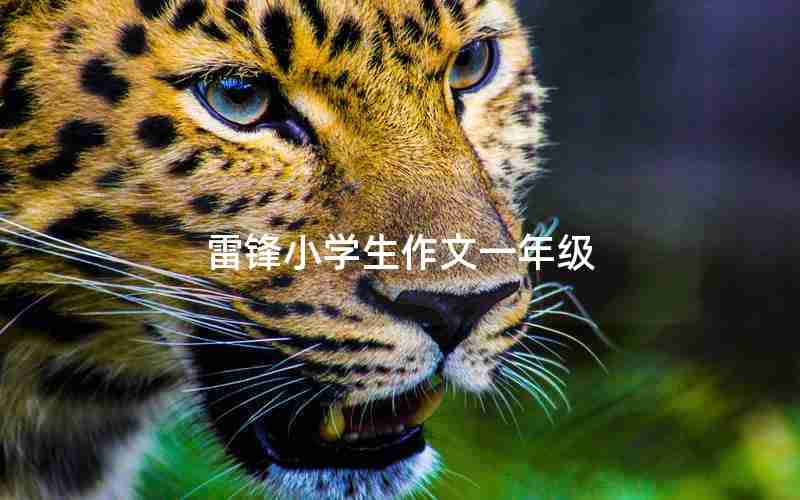 雷锋小学生作文一年级