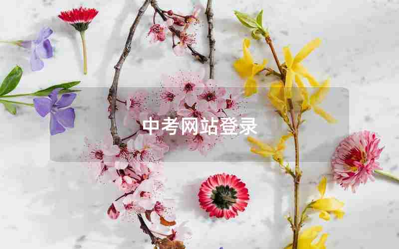 中考网站登录