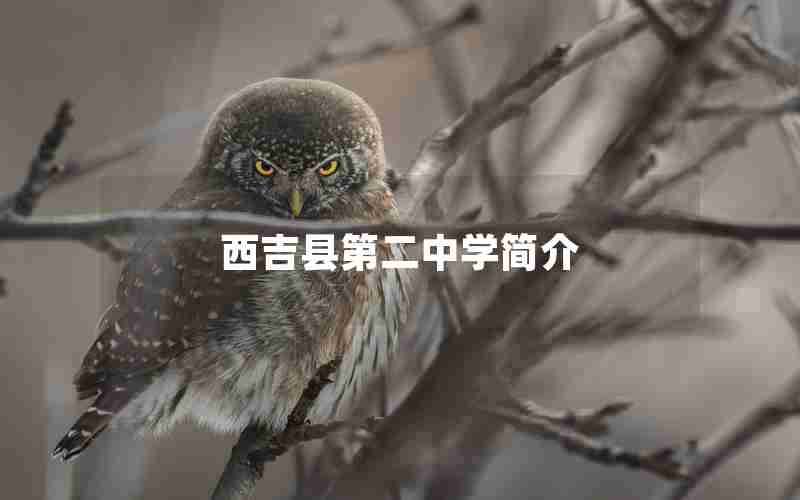 西吉县第二中学简介