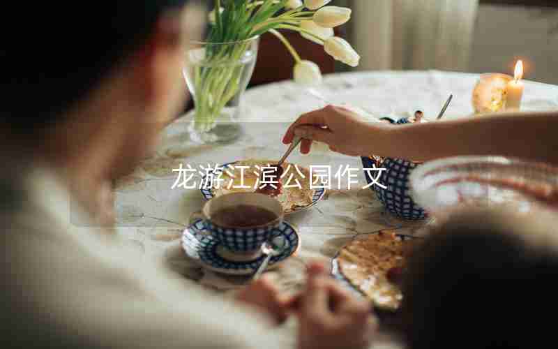 龙游江滨公园作文
