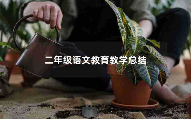 二年级语文教育教学总结