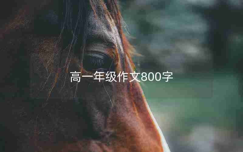高一年级作文800字