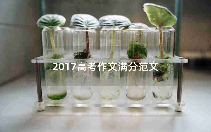 2017高考作文满分范文