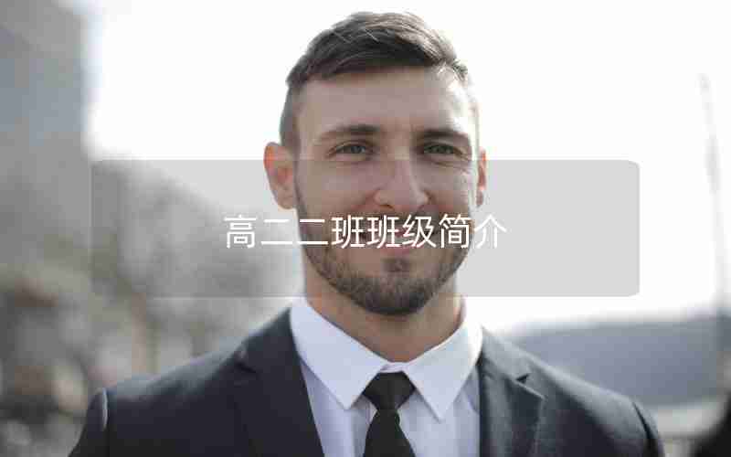 高二二班班级简介