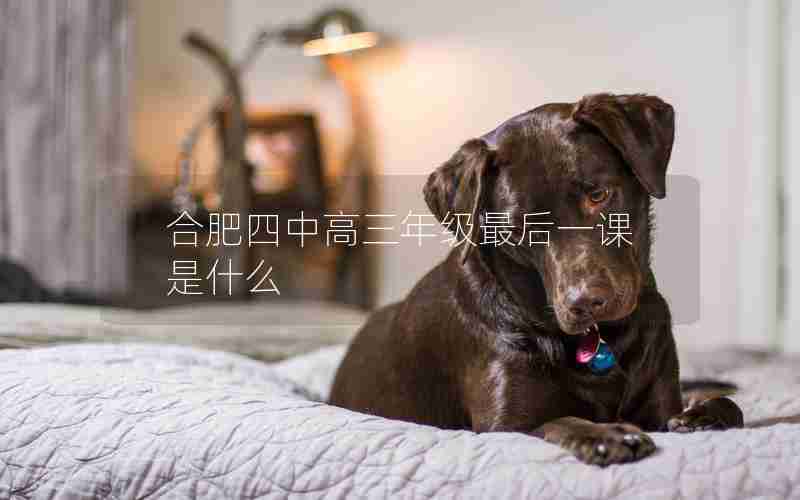 合肥四中高三年级最后一课是什么