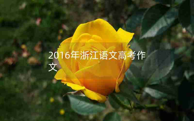 2016年浙江语文高考作文