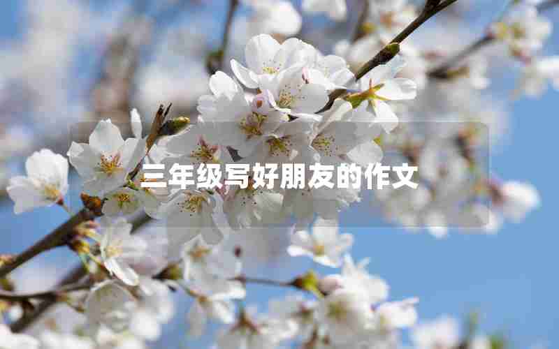 三年级写好朋友的作文