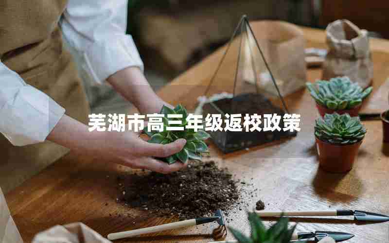 芜湖市高三年级返校政策