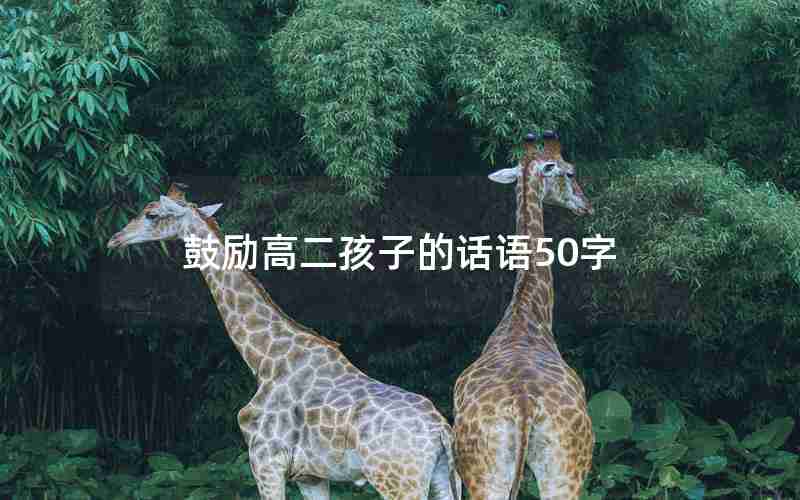 鼓励高二孩子的话语50字