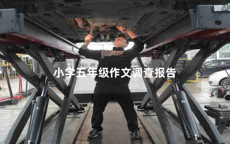 小学五年级作文调查报告