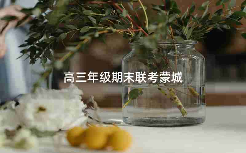 高三年级期末联考蒙城