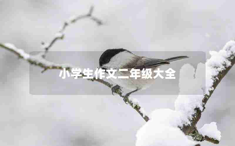 小学生作文二年级大全