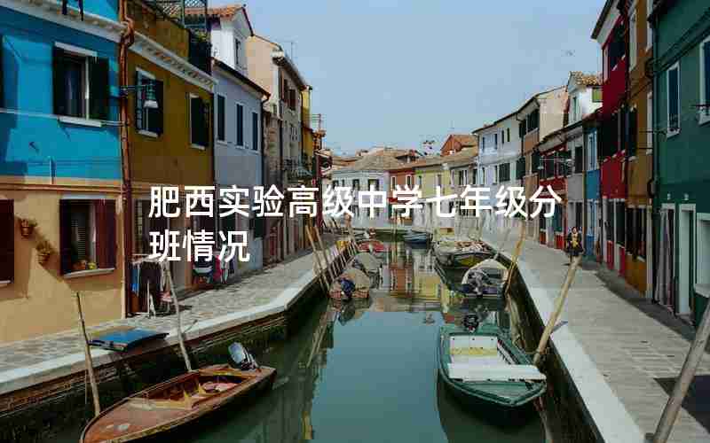 肥西实验高级中学七年级分班情况