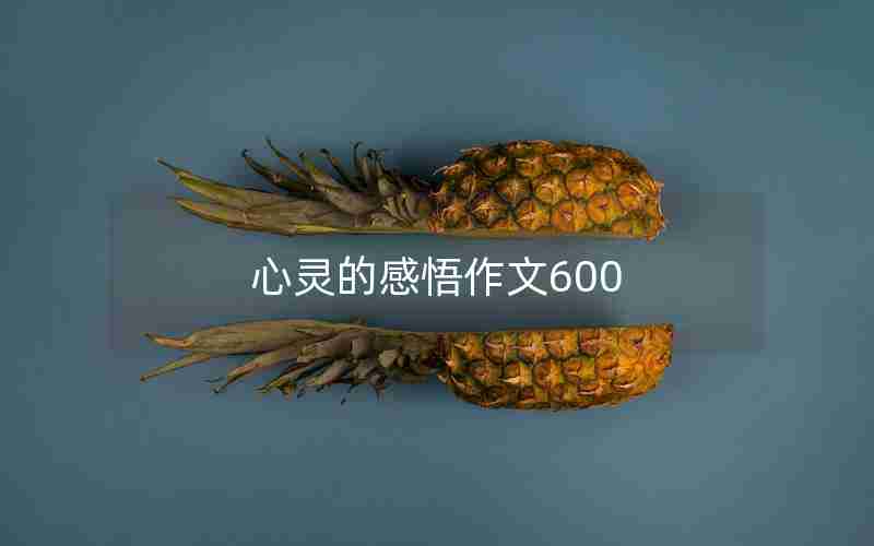 心灵的感悟作文600