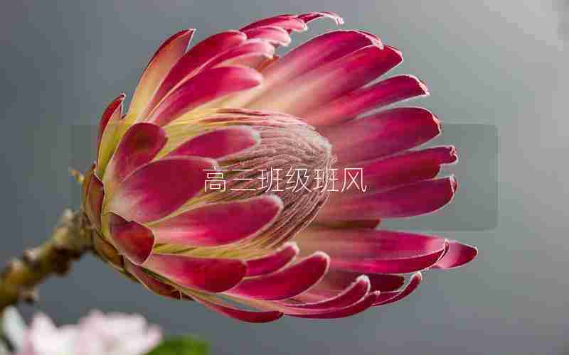 高三班级班风