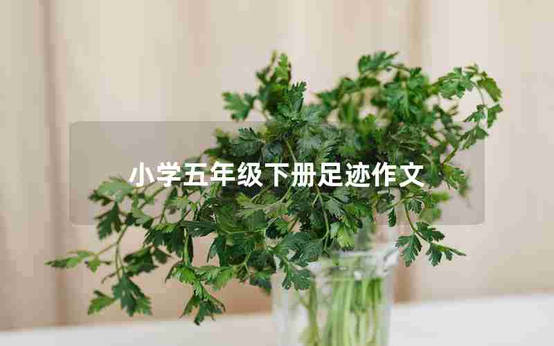 小学五年级下册足迹作文