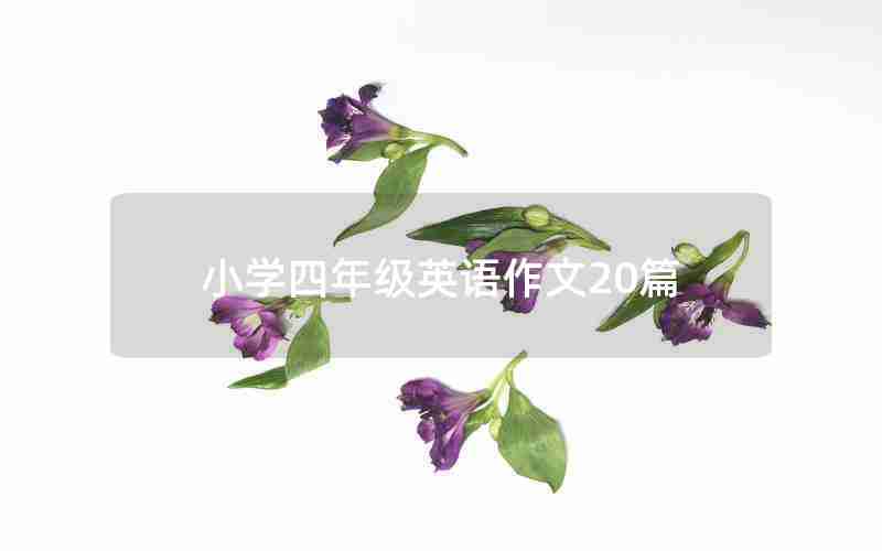 小学四年级英语作文20篇