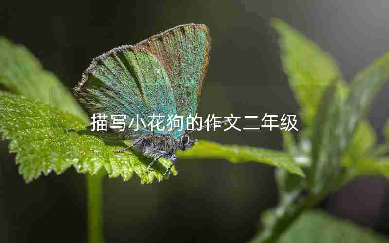 描写小花狗的作文二年级
