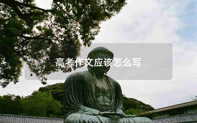 高考作文应该怎么写