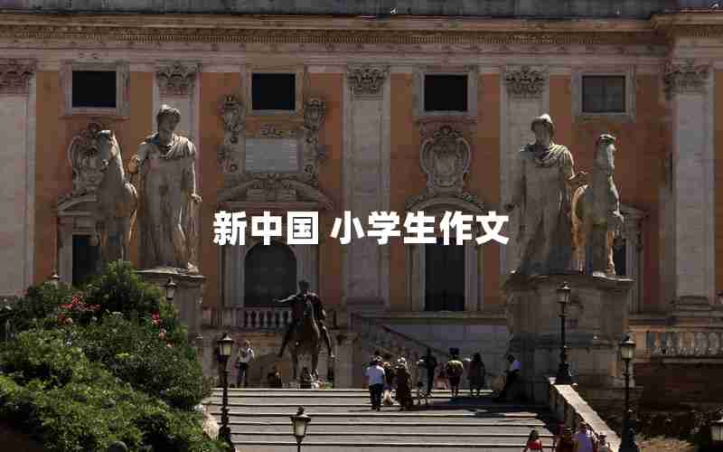 新中国 小学生作文