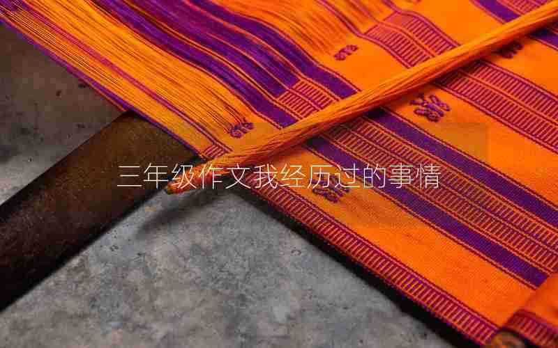 三年级作文我经历过的事情