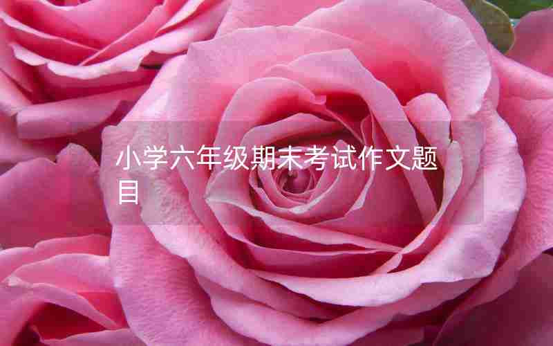 小学六年级期末考试作文题目