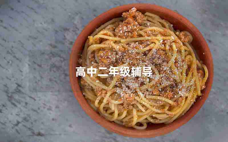高中二年级辅导