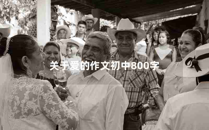 关于爱的作文初中800字