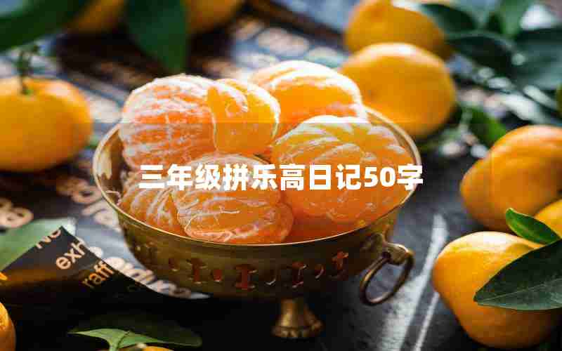 三年级拼乐高日记50字