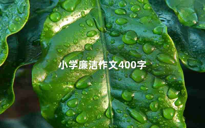 小学廉洁作文400字
