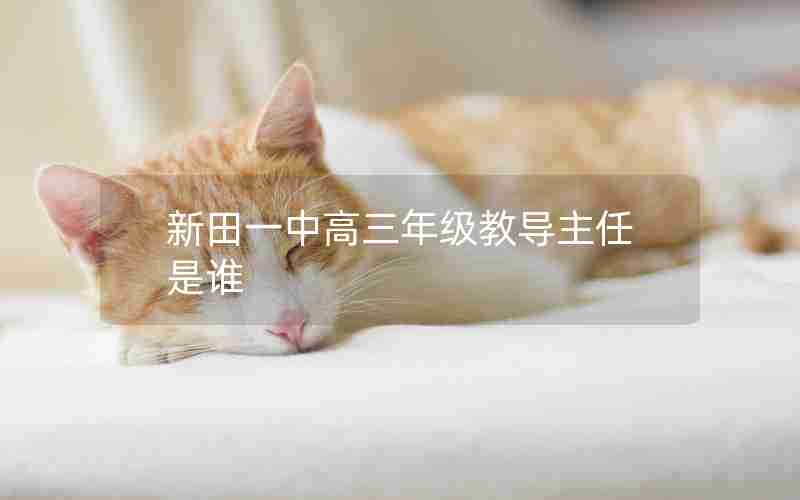 新田一中高三年级教导主任是谁