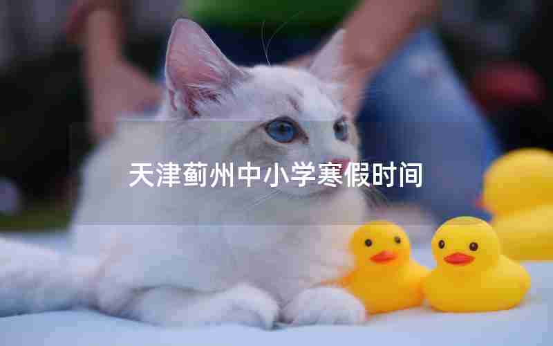 天津蓟州中小学寒假时间