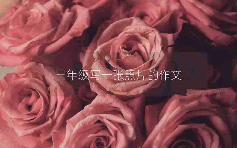 三年级写一张照片的作文