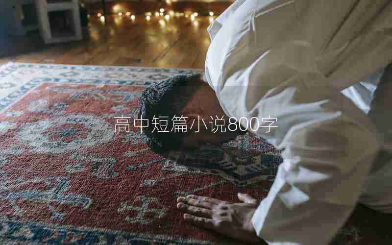 高中短篇小说800字